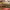 https://res.cloudinary.com/billionhands/image/upload/v1767083403/items/v35c1lau9dak2fbpjc4d.png-3cover