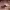 https://res.cloudinary.com/billionhands/image/upload/v1767087557/items/f3j6cijqfuxlaa4hyfmw.webp-1cover