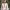 https://res.cloudinary.com/billionhands/image/upload/v1767087599/items/zowqpcjqr068oxt92ctk.webp-0cover