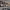 https://res.cloudinary.com/billionhands/image/upload/v1767088150/items/piglxyp3hx620gxas3bt.jpg-1cover