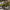 https://res.cloudinary.com/billionhands/image/upload/v1767088193/items/wcohse1nhwjsnkoezarv.jpg-2cover