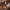 https://res.cloudinary.com/billionhands/image/upload/v1767088640/items/crgejxfdifhxw6rdykxi.jpg-0cover