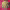 https://res.cloudinary.com/billionhands/image/upload/v1767088912/items/umenga1yos4zrpqvrsw6.jpg-3cover