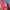 https://res.cloudinary.com/billionhands/image/upload/v1767089264/items/otfktdf0xrlnpfud4aok.jpg-0cover