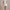 https://res.cloudinary.com/billionhands/image/upload/v1767089274/items/upmam71a875iodh03stx.webp-1cover