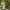 https://res.cloudinary.com/billionhands/image/upload/v1767091240/items/iox9wnkogjp1drmxwitp.jpg-3cover