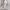 https://res.cloudinary.com/billionhands/image/upload/v1767091835/items/hlnsscnohw2e6pw2rfm3.avif-1cover