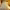 https://res.cloudinary.com/billionhands/image/upload/v1767092378/items/zdiaa7fwi6rjoca0bdx9.jpg-0cover