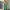 https://res.cloudinary.com/billionhands/image/upload/v1767092384/items/zmiznblvmjnnajyakgfw.webp-1cover