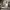 https://res.cloudinary.com/billionhands/image/upload/v1767092666/items/m9qzopcqqz1muctapdu0.jpg-0cover