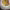 https://res.cloudinary.com/billionhands/image/upload/v1767092956/items/bp8rx0z7thaepmtta8zv.jpg-2cover