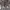 https://res.cloudinary.com/billionhands/image/upload/v1767093548/items/xj38sx9dmhjzusanstd7.jpg-3cover