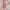 https://res.cloudinary.com/billionhands/image/upload/v1767094101/items/nyg1wwlivf4etcw9k8gb.jpg-3cover