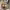 https://res.cloudinary.com/billionhands/image/upload/v1767094229/items/y2pn0loorimho5bzpclb.jpg-3cover