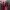 https://res.cloudinary.com/billionhands/image/upload/v1767094341/items/h7uknicxqavq1yuowd5q.jpg-2cover