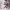 https://res.cloudinary.com/billionhands/image/upload/v1767094350/items/lonb8osg4weah6ljpkzi.jpg-1cover