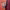 https://res.cloudinary.com/billionhands/image/upload/v1767094369/items/jh10ygtimweg6eerhbeb.jpg-2cover