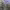 https://res.cloudinary.com/billionhands/image/upload/v1767094708/items/r82cytozbrdztxlitytu.jpg-0cover
