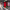 https://res.cloudinary.com/billionhands/image/upload/v1767096244/items/rynfwezxl9sdfslssqo0.jpg-0cover