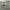 https://res.cloudinary.com/billionhands/image/upload/v1767096252/items/w1ljjypu9ryms2n8j0sr.jpg-2cover