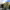 https://res.cloudinary.com/billionhands/image/upload/v1767096842/items/hxply4rglmmdnlw4zgdy.jpg-2cover