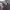 https://res.cloudinary.com/billionhands/image/upload/v1767097273/items/qfiizlj9mqudyrmi3tgv.jpg-1cover