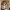 https://res.cloudinary.com/billionhands/image/upload/v1767097405/items/i61yh1fwp9ymjlt3yorv.jpg-1cover