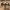 https://res.cloudinary.com/billionhands/image/upload/v1767097413/items/ijnvbt3ehopki8bbdu3r.jpg-1cover