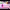 https://res.cloudinary.com/billionhands/image/upload/v1767097809/items/nhcbbn9dbmvlckiitgqz.jpg-3cover