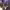 https://res.cloudinary.com/billionhands/image/upload/v1767098399/items/vkx3hnrtcknq5mkbc7hg.jpg-2cover