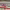 https://res.cloudinary.com/billionhands/image/upload/v1767098831/items/f8squv0mdi3iqgderhos.webp-0cover