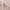 https://res.cloudinary.com/billionhands/image/upload/v1767098914/items/h84dloln6mfy0fuibbob.webp-2cover