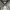 https://res.cloudinary.com/billionhands/image/upload/v1767099146/items/rp33ujzbemoplpdwwosh.webp-2cover