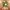 https://res.cloudinary.com/billionhands/image/upload/v1767099783/items/cnnl971xrulzbrneaxds.webp-2cover