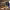 https://res.cloudinary.com/billionhands/image/upload/v1767099818/items/mblosmidodac9af6k5sw.jpg-2cover