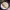 https://res.cloudinary.com/billionhands/image/upload/v1767099823/items/ur1bt4bcljllbtmyd6we.jpg-1cover