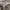 https://res.cloudinary.com/billionhands/image/upload/v1767100055/items/i0aep8ckq0yrbj0emr8r.jpg-2cover