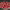 https://res.cloudinary.com/billionhands/image/upload/v1767101203/items/xe8xeedvyqenohwjajmy.webp-0cover