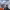 https://res.cloudinary.com/billionhands/image/upload/v1767108706/items/lojmpfwxysfo1h6utz97.webp-3cover
