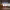 https://res.cloudinary.com/billionhands/image/upload/v1767138727/items/pjcstfhopdzgtvukoepb.webp-1cover