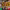 https://res.cloudinary.com/billionhands/image/upload/v1767165769/items/lc4ikvdxhs9ws4l3fiq9.webp-2cover
