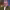 https://res.cloudinary.com/billionhands/image/upload/v1767165788/items/ck8hbcnum7wabpwmviuu.jpg-3cover