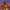 https://res.cloudinary.com/billionhands/image/upload/v1767166252/items/gjzhptmygxvnnryevbuw.webp-3cover
