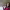 https://res.cloudinary.com/billionhands/image/upload/v1767166259/items/kd7vuydqlt1e23kk5jfl.jpg-0cover