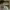 https://res.cloudinary.com/billionhands/image/upload/v1767183267/items/v9yovbqqb29bmdbsomp4.jpg-3cover