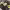 https://res.cloudinary.com/billionhands/image/upload/v1767185984/items/zi1ezxlxnxdw7tcngjyf.jpg-1cover