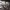 https://res.cloudinary.com/billionhands/image/upload/v1767185991/items/uquigrwmt88kzeanxw1e.jpg-3cover