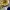 https://res.cloudinary.com/billionhands/image/upload/v1767185995/items/myc6nepqkcefceqmbbqc.jpg-2cover