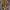 https://res.cloudinary.com/billionhands/image/upload/v1767186023/items/pqzxhpofrmxpwiu2dut7.jpg-2cover