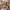 https://res.cloudinary.com/billionhands/image/upload/v1767187140/items/hezn3dgdeyxg5ytvuo4v.jpg-3cover